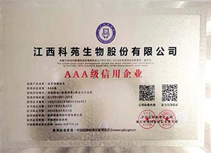 公司风貌