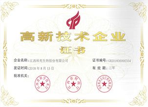 公司风貌