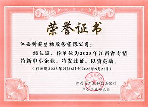 公司风貌